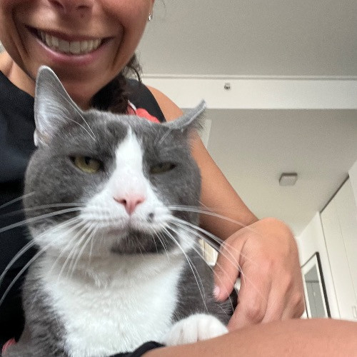Let Me Love Your Cats