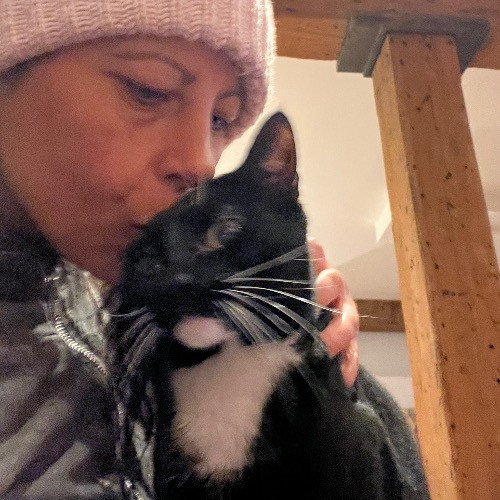Let Me Love Your Cats