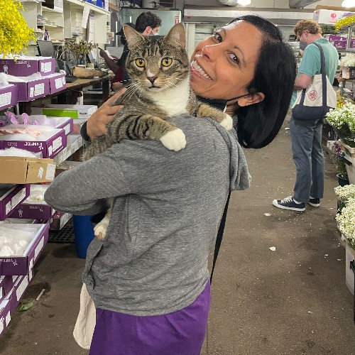 Let Me Love Your Cats photo 2