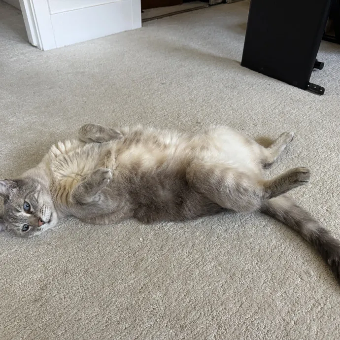 Molly B.
