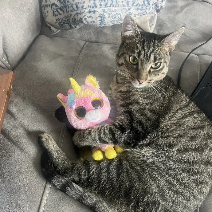 Kitty Guardian Angel photo 4