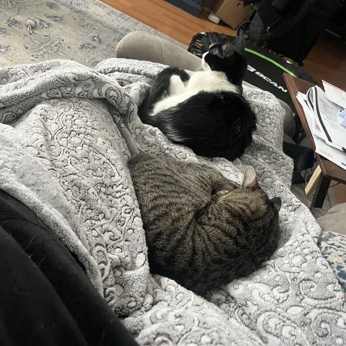 Kitty Guardian Angel photo 2