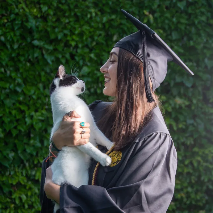 Nine Lives Concierge