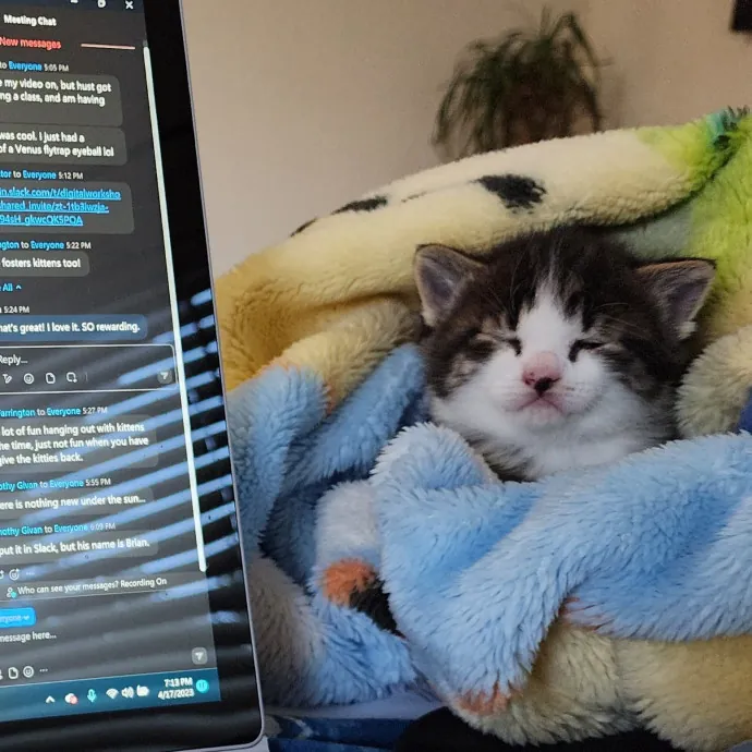 Nine Lives Concierge