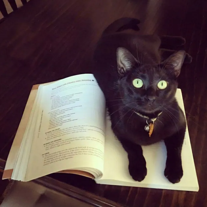 Nine Lives Concierge