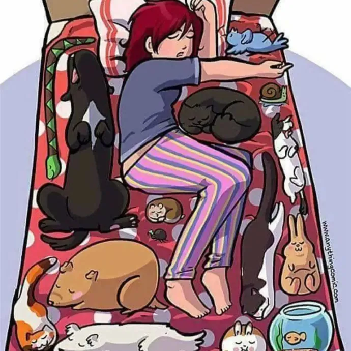 Nine Lives Concierge