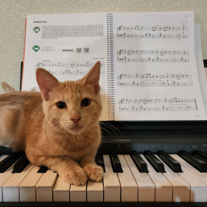 Nine Lives Concierge