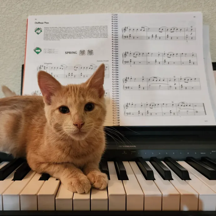 Nine Lives Concierge