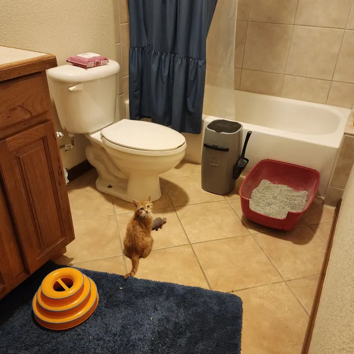 Nine Lives Concierge