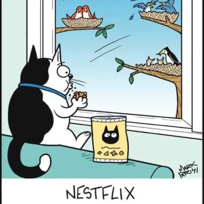 Nine Lives Concierge