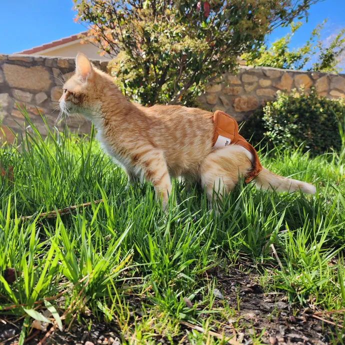 Nine Lives Concierge