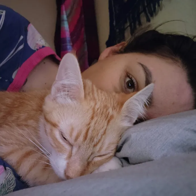 Nine Lives Concierge