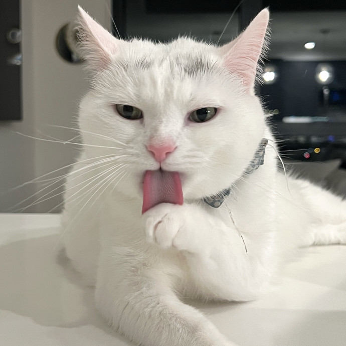Fluffed Cheeks Sitter