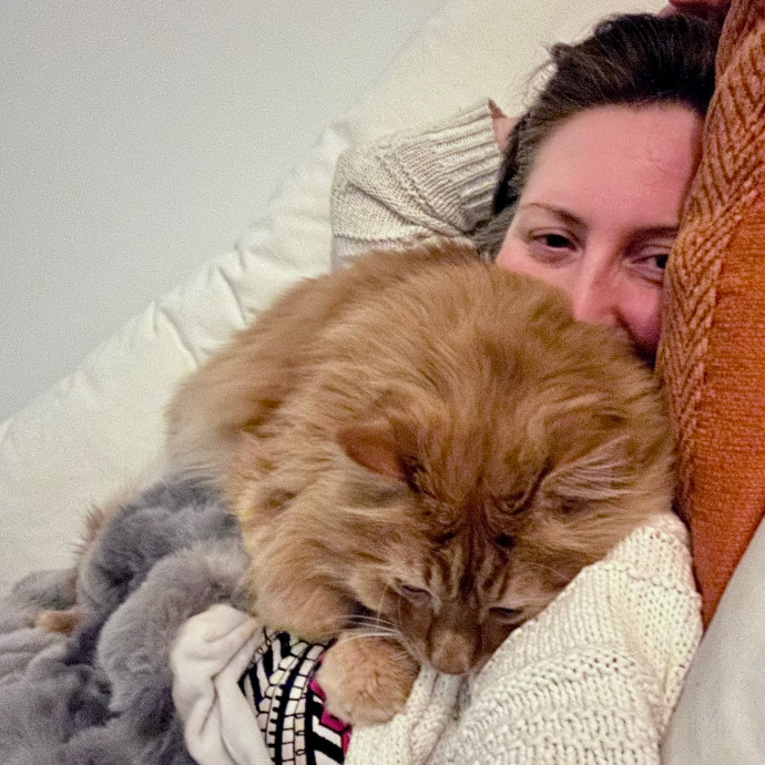 Katie's Crazy Kitty Care Staycation