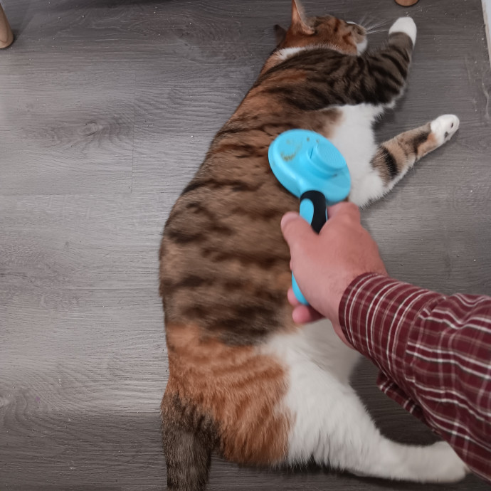 Chris T's Catcophony Of Sitting