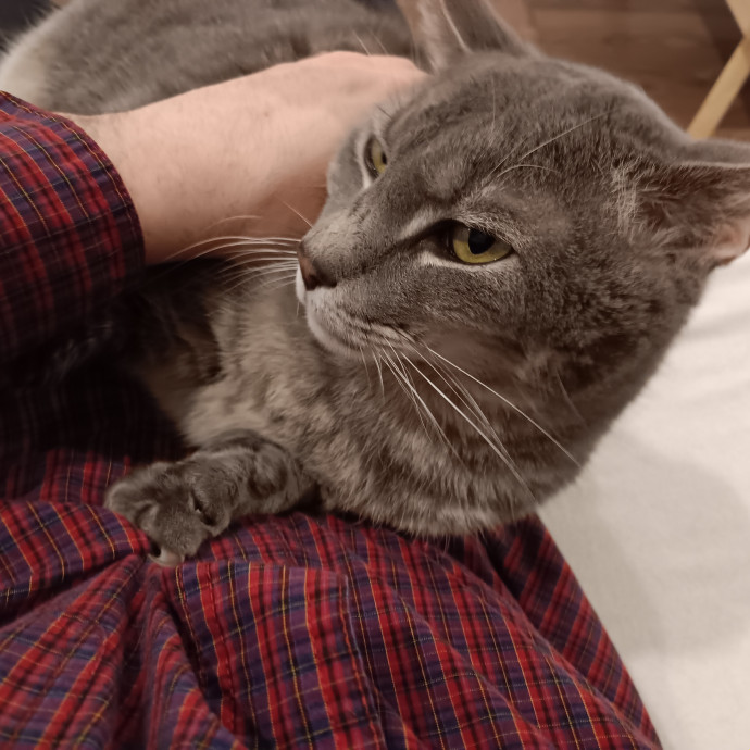 Chris T's Catcophony Of Sitting