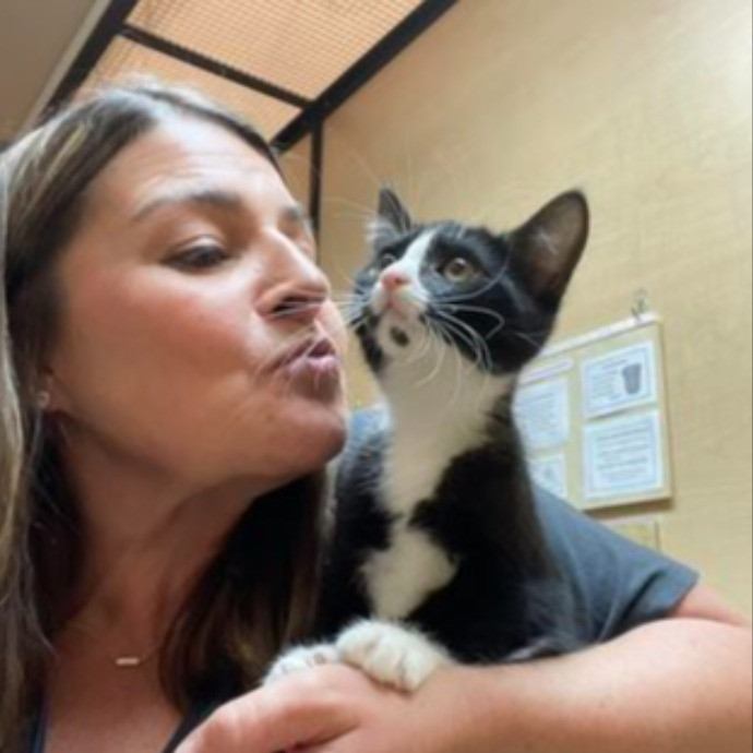 Dawn's Purrfectly Pampered Cat Care