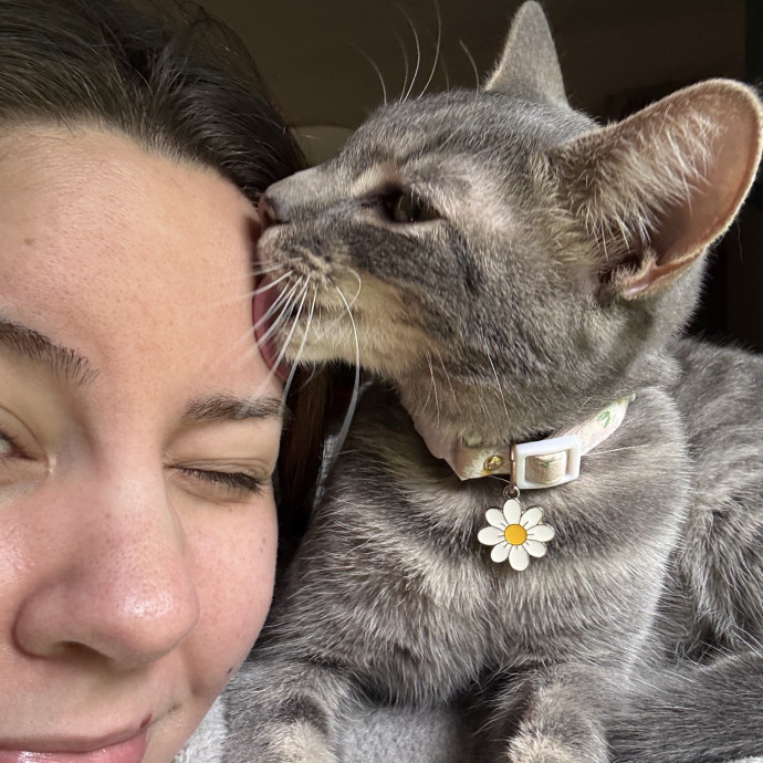 Your Purrrrfect Cat Sitter