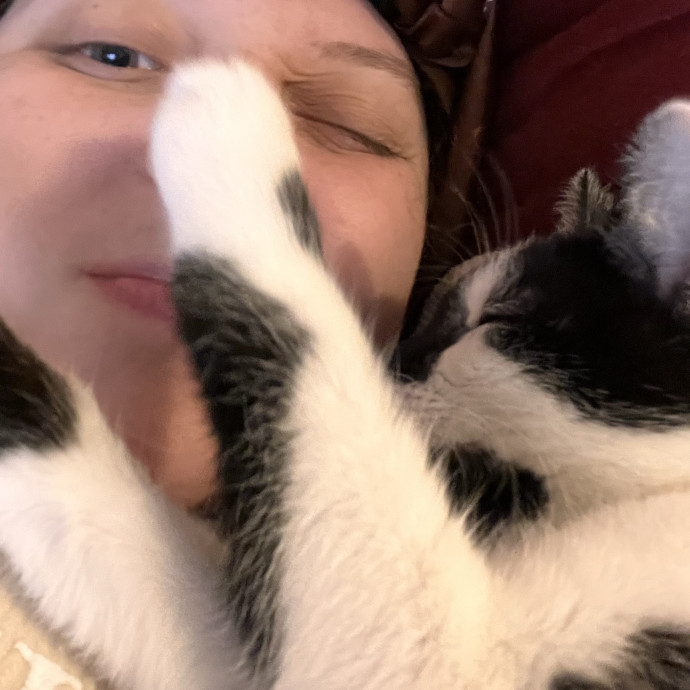 The Cat's Meowtel
