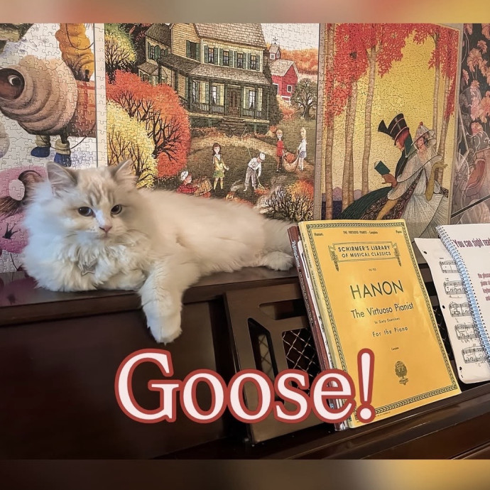 The Cat's Meowtel
