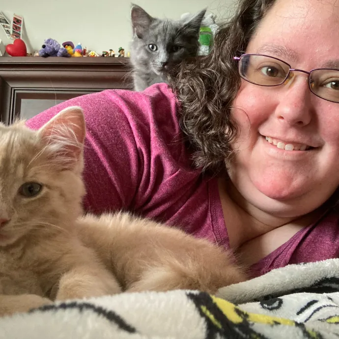 Alli's Purrfect Kitty Care photo 4