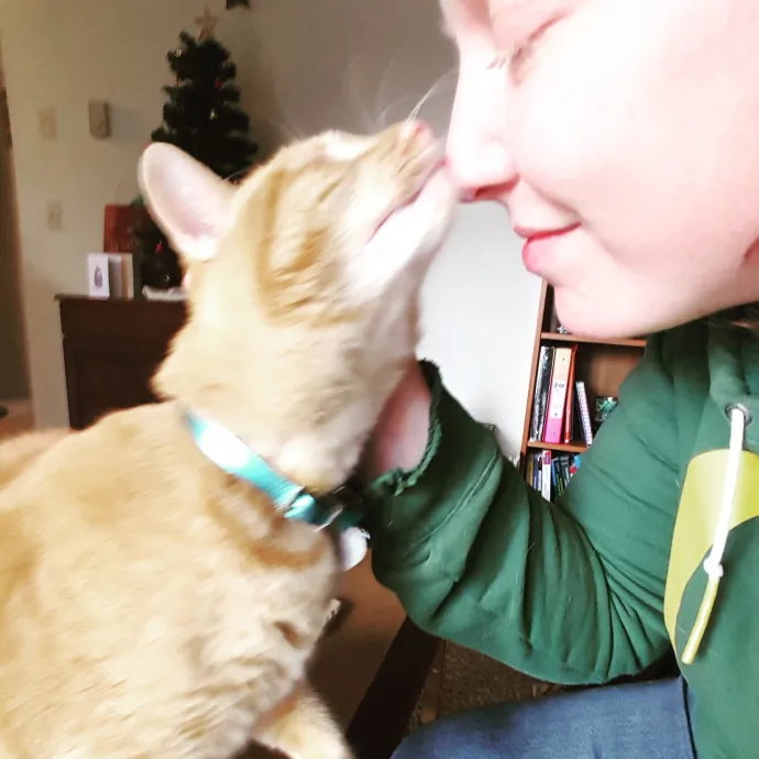 Multi- Cat Owner With More Love To Give- Cat Sitter - Tacoma