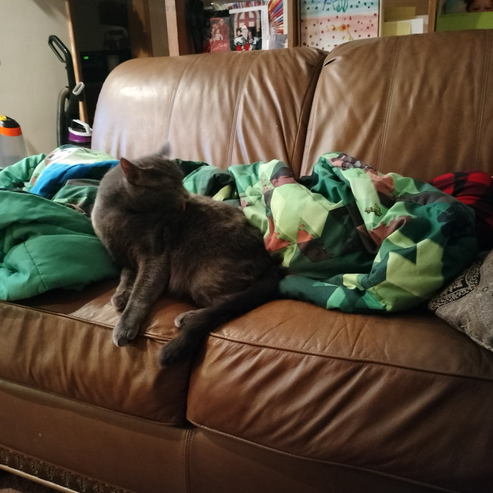 Crystal's Fantastic Feline Care