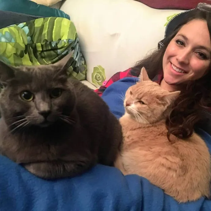 Caring Experienced Cat Lover