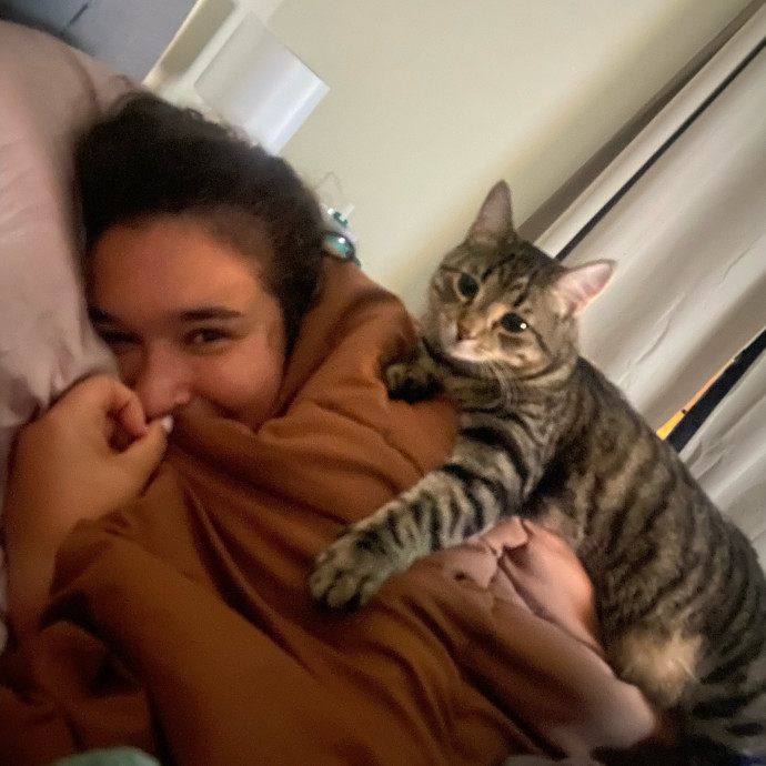 Kitty Connoisseur