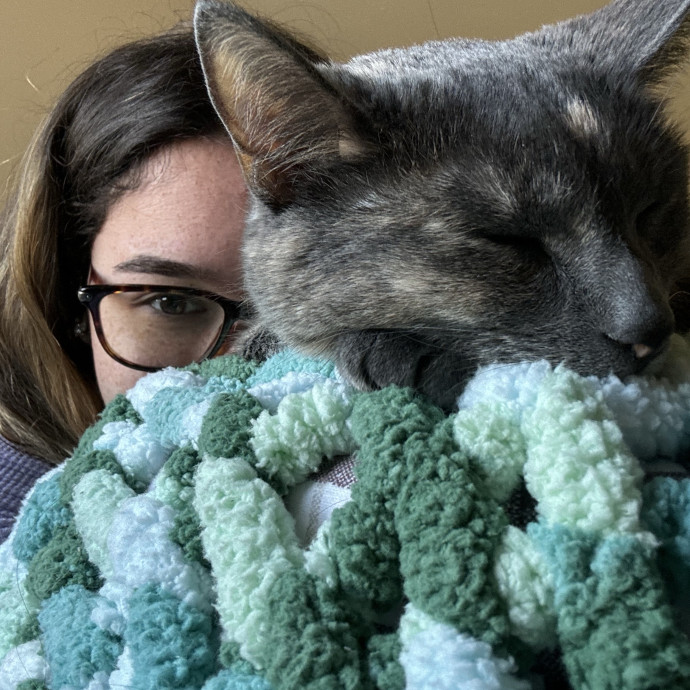 Kitty Connoisseur