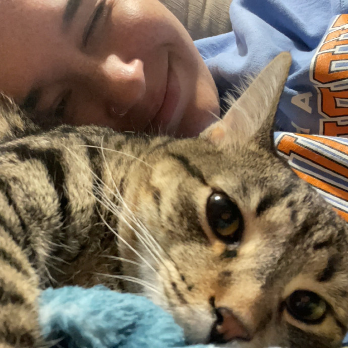 Kitty Connoisseur