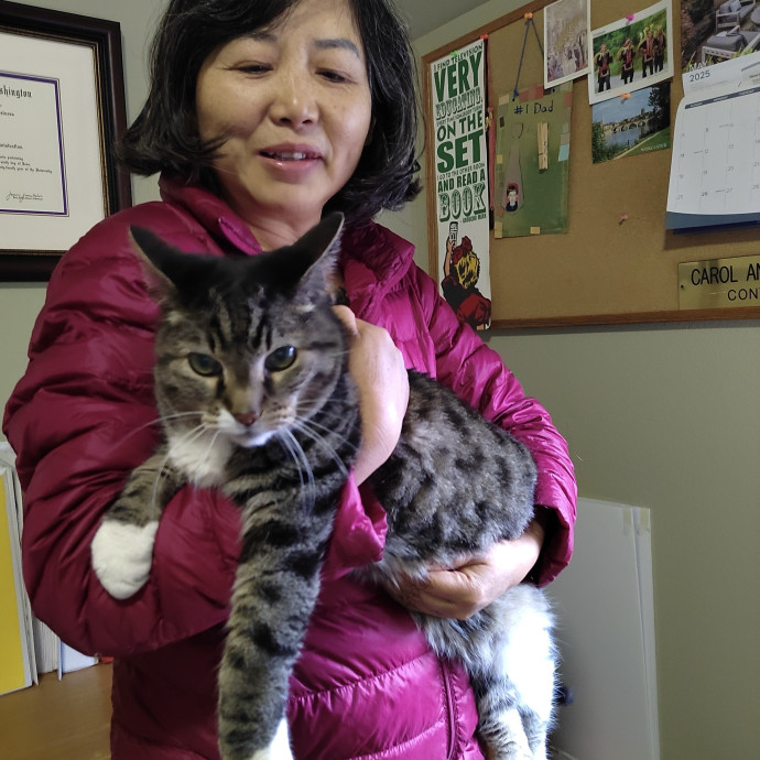 Experienced  Caring Cat Sitter