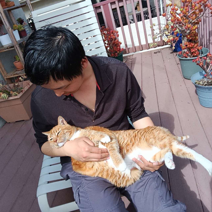 Experienced  Caring Cat Sitter