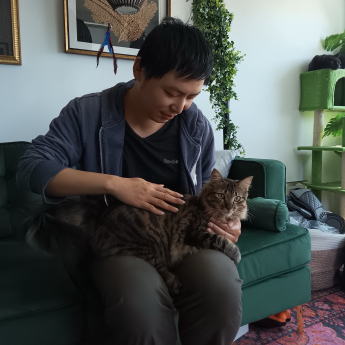 Experienced  Caring Cat Sitter