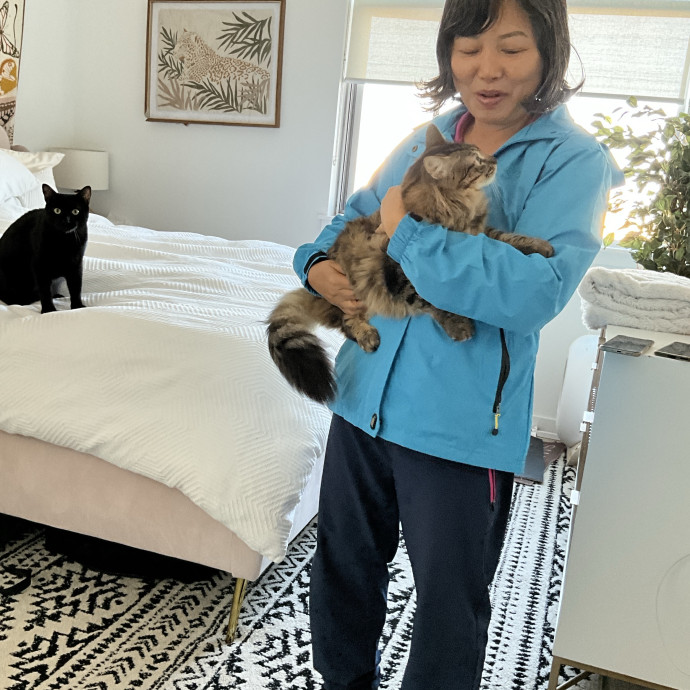 Experienced  Caring Cat Sitter