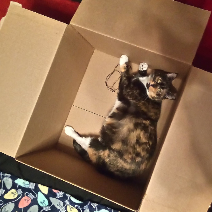 Georgie's Kitty Korner