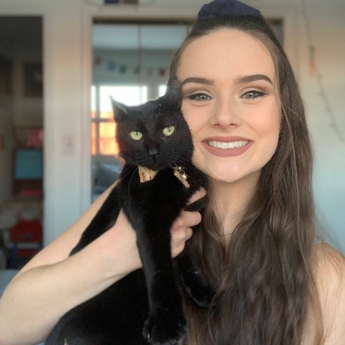Morgan's Kitty Sitting photo 3