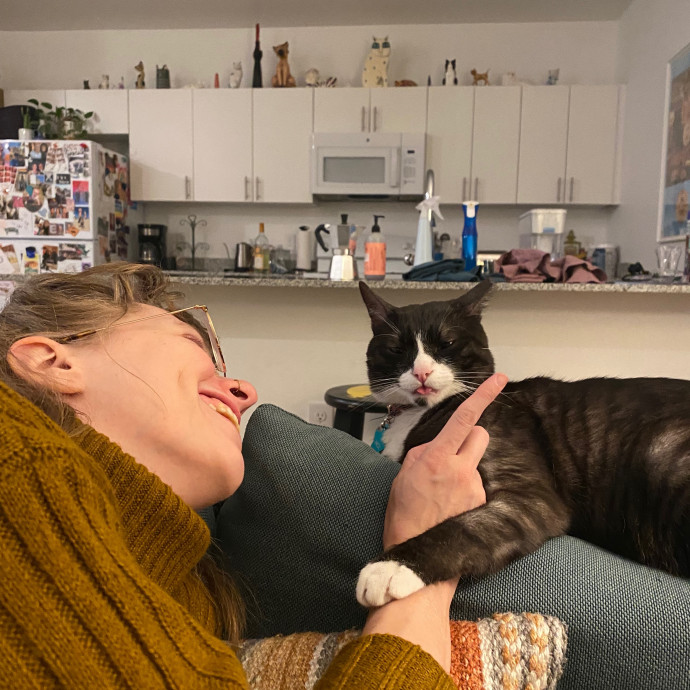 Hollywood Whiskers Cat Sitting By Brooke