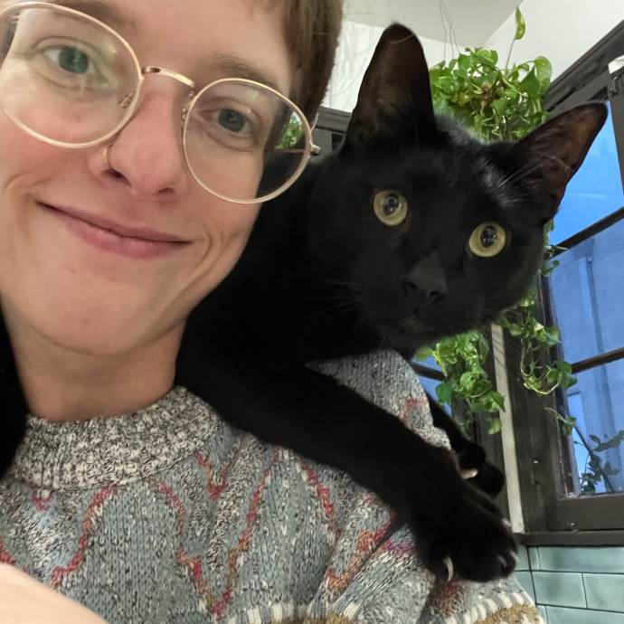 Hollywood Whiskers Cat Sitting By Brooke photo 3