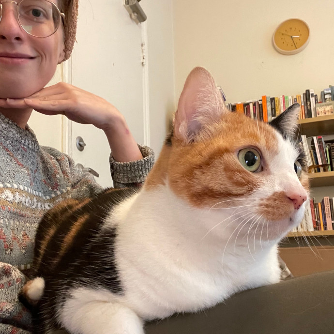Hollywood Whiskers Cat Sitting By Brooke photo 2