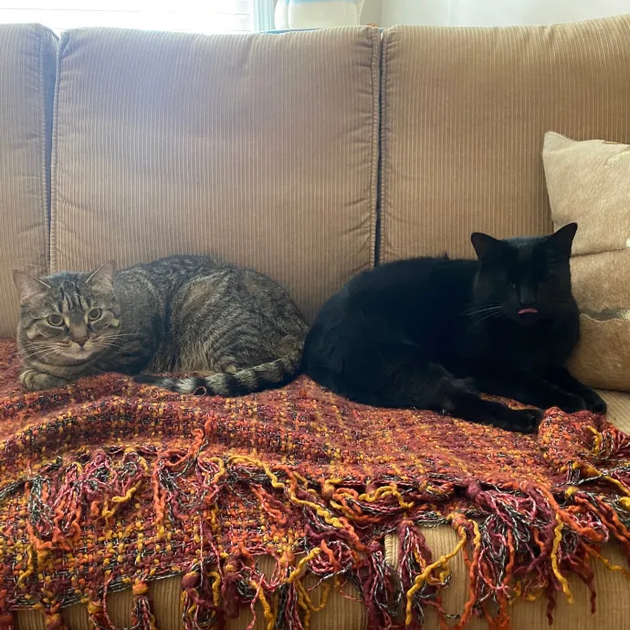 Paws With Karo