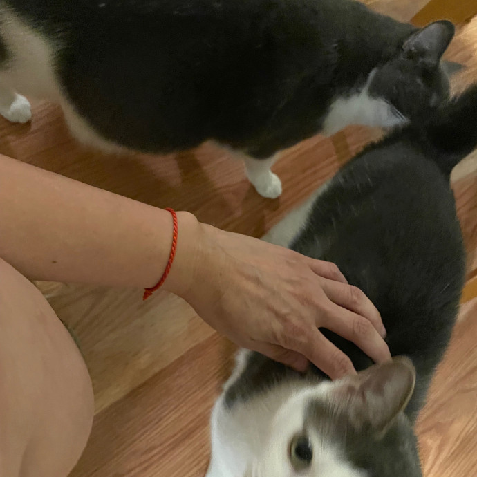 Paws With Karo