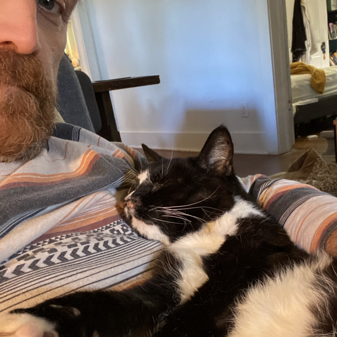Dad Of Special Needs Cats For 25Yrs
