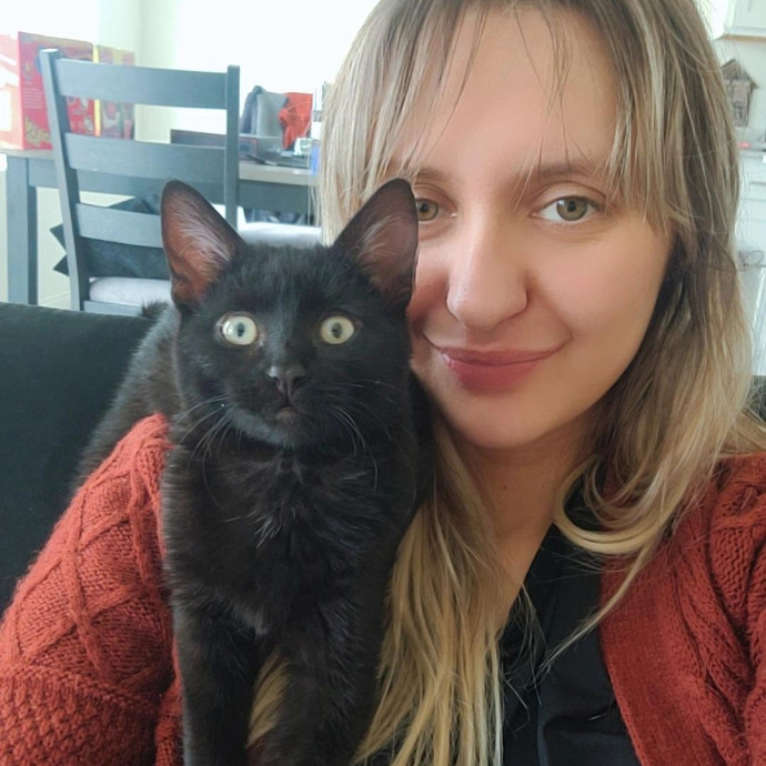 Meowdy Bri's Kitty Sitting