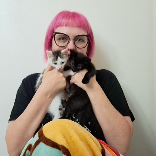 Can I Pet Your Cat