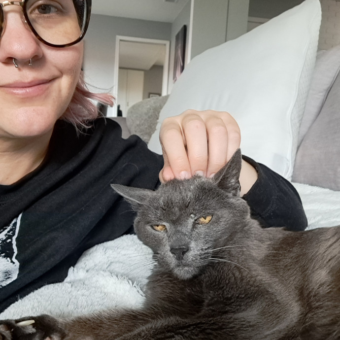 Can I Pet Your Cat