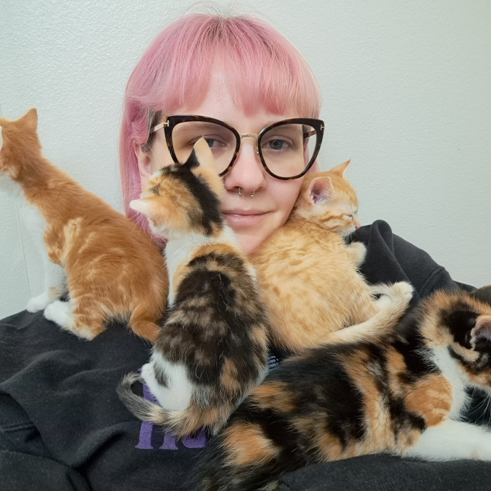 Can I Pet Your Cat