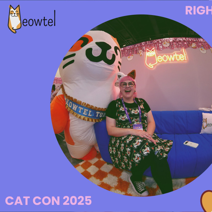 Can I Pet Your Cat photo 3