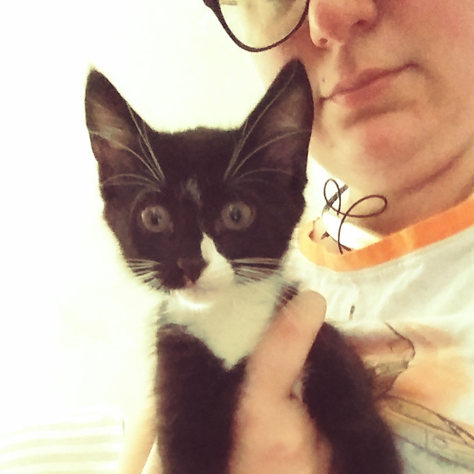 Cat Person Seeks Friends To Borrow