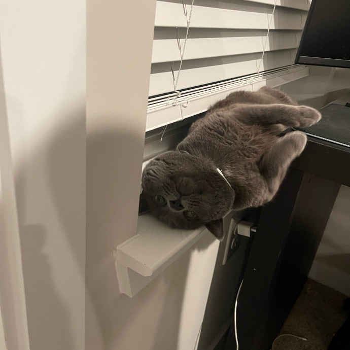 Stress-Free Sitting By A True Cat Lover photo 3